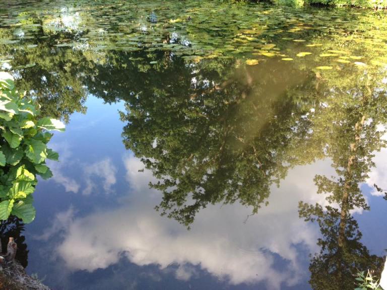 11050639_1204123776270569_5764494683959947056_n