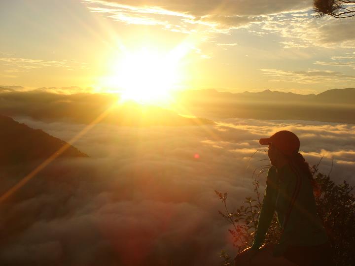 307723_279750788707877_3090288_n