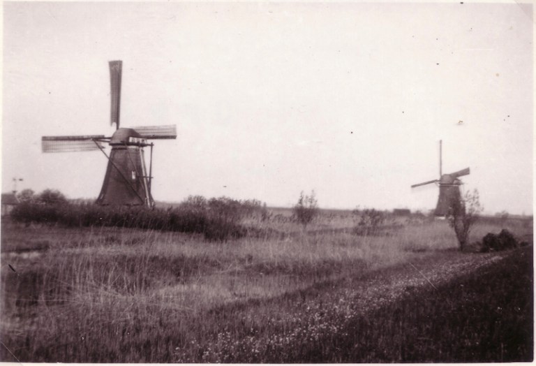 c1590de36a0d416de572d62ade441927