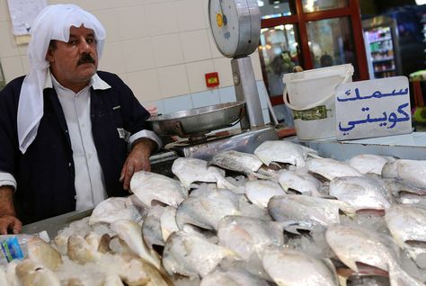 GettyImages-484871888