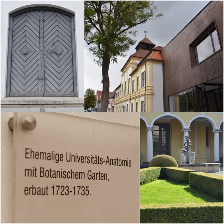 hortus-medicus-9-768x768