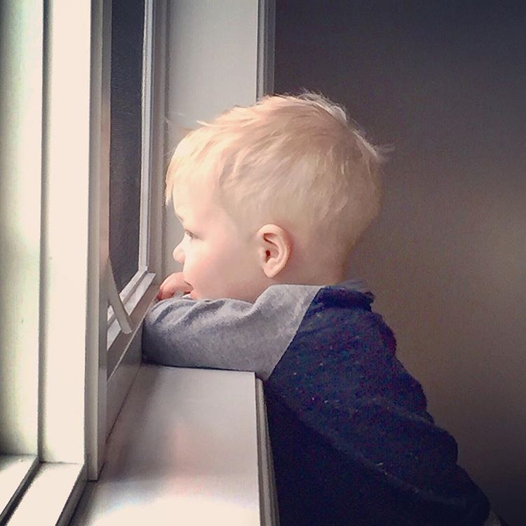 13150965_1144579625593329_112325202_n