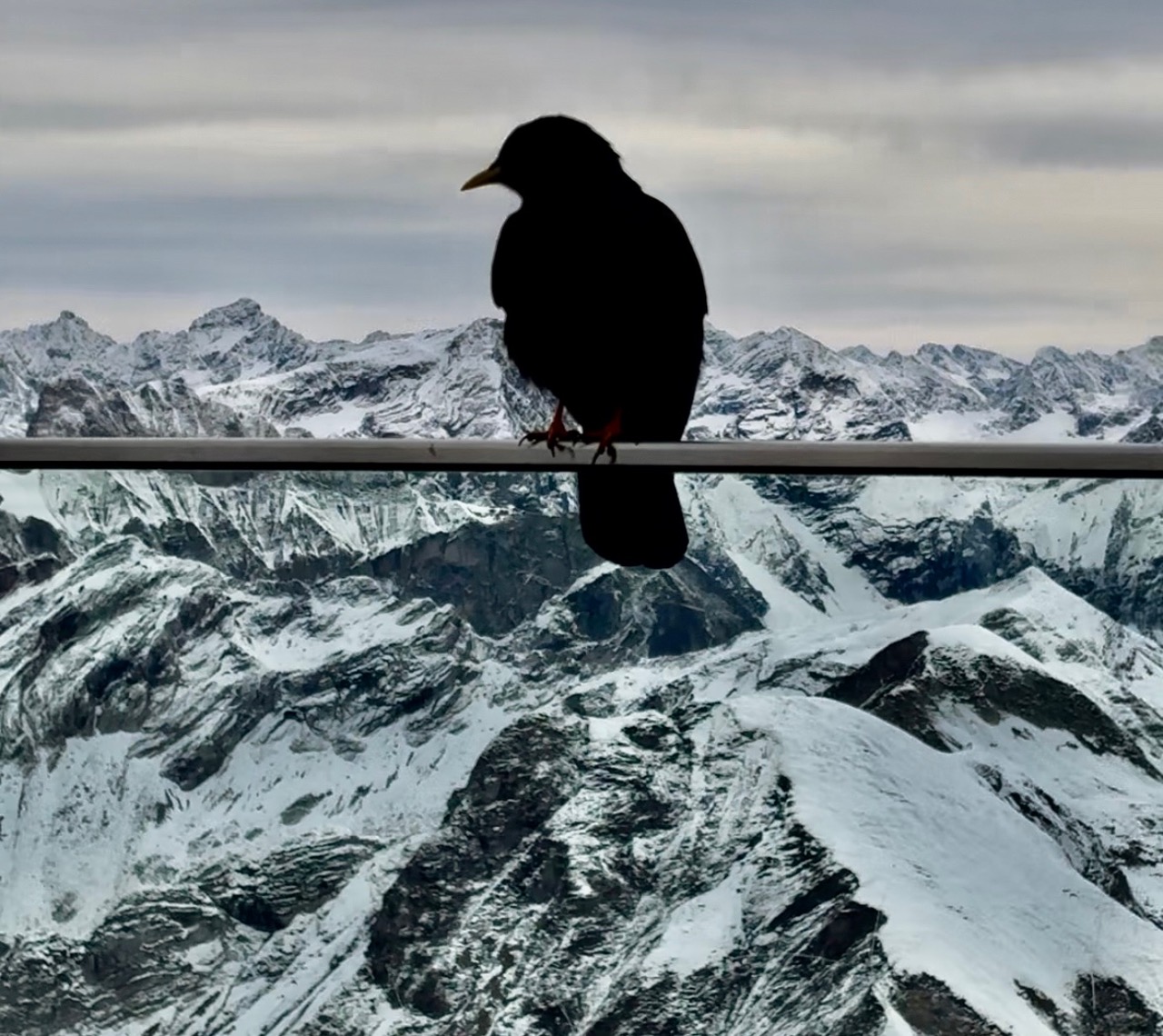 Bergliebe : Nebelhorn and Nordwandsteig Peak Walk – justbluedutch